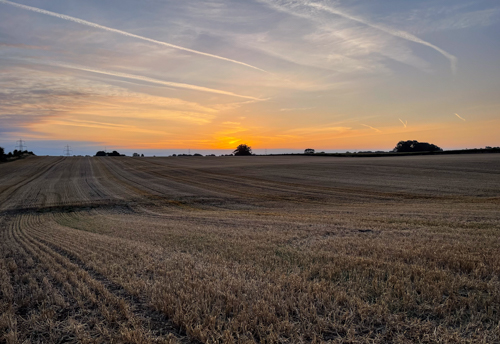 Autumn Arrives Early . . .